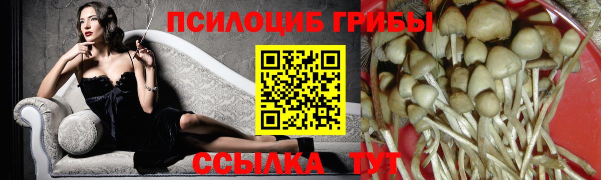 Галлюциногенные грибы GOLDEN TEACHER  Вход с VPN  Махачкала 