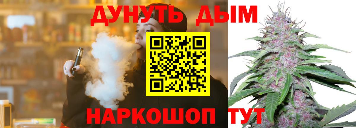 Бошки Шишки планчик Махачкала