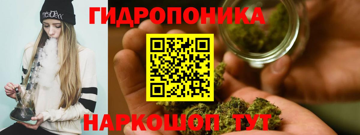 Каннабис план  Шишки марихуана планчик  Вход с VPN  Конопля VHQ  Махачкала 